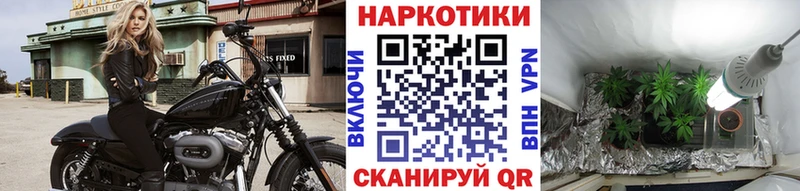 Купить наркоту Каменногорск БУТИРАТ  Галлюциногенные грибы  Меф  ГАШИШ 