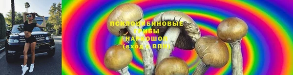 скорость Няндома