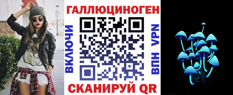 MEGA как зайти  Каменногорск  Галлюциногенные грибы Cubensis 